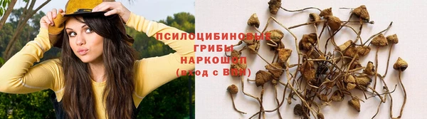 амф Алексин