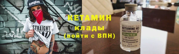 амф Алексин