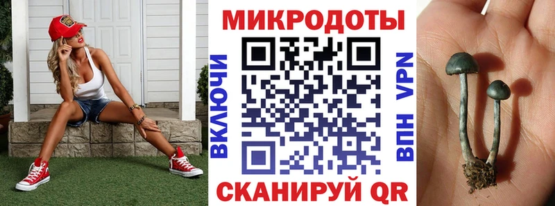 купить Поронайск Псилоцибиновые грибы MAGIC MUSHROOMS